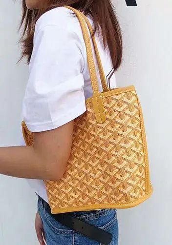 Goyard Anjou Mini - Matching Wallet & Insert Included